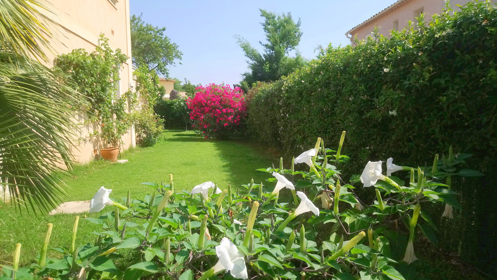 Image_3, Viager, Saint-Raphaël, ref :79