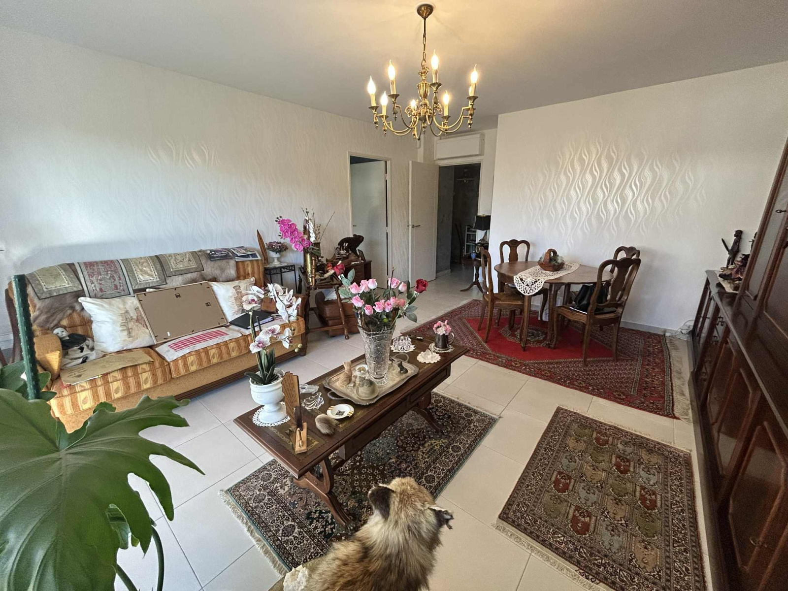 Image_6, Viager, Saint-Raphaël, ref :108